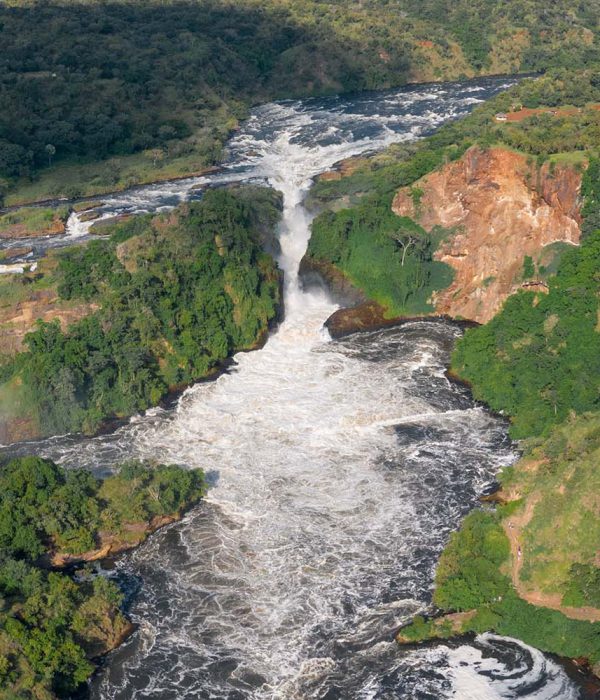 Murchison falls | Uganda | Murchison falls National Park | 7 Day Uganda Wildlife Safari