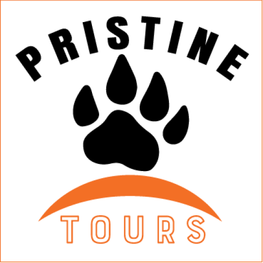 pristine Tours