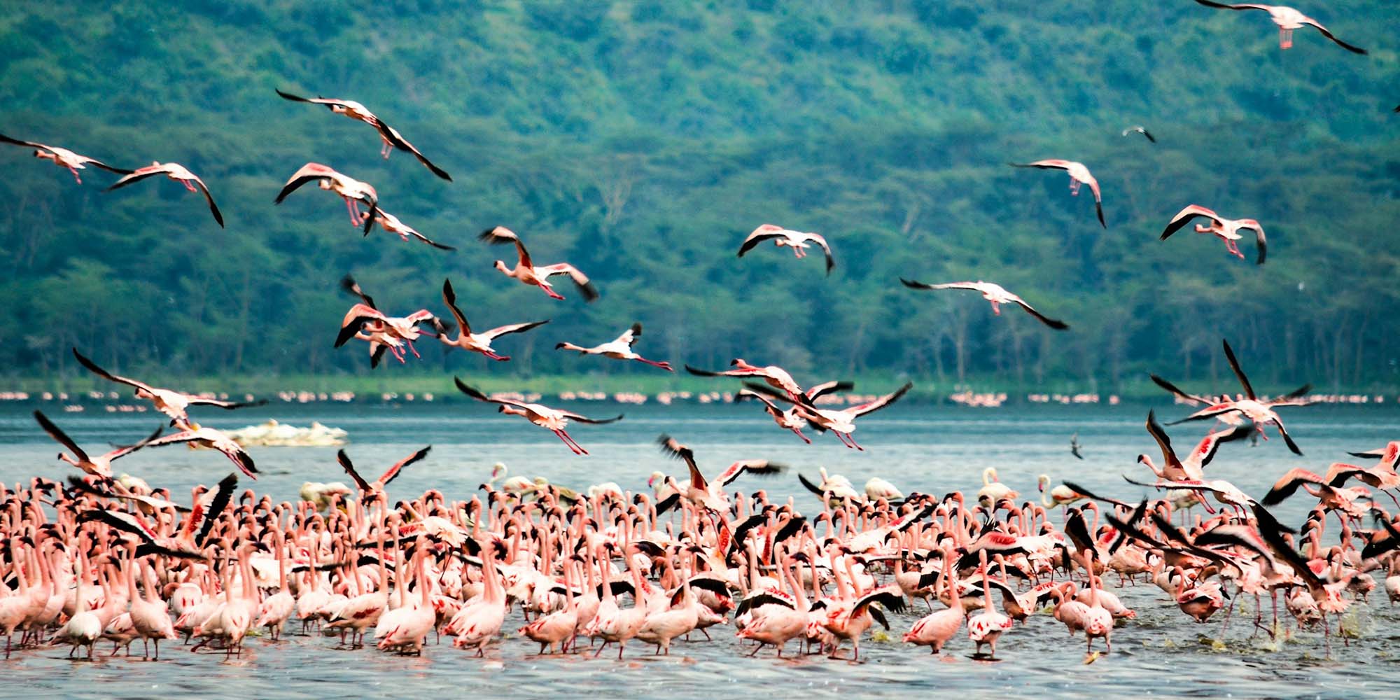 Lake Nakuru National Park | Kenya Safari