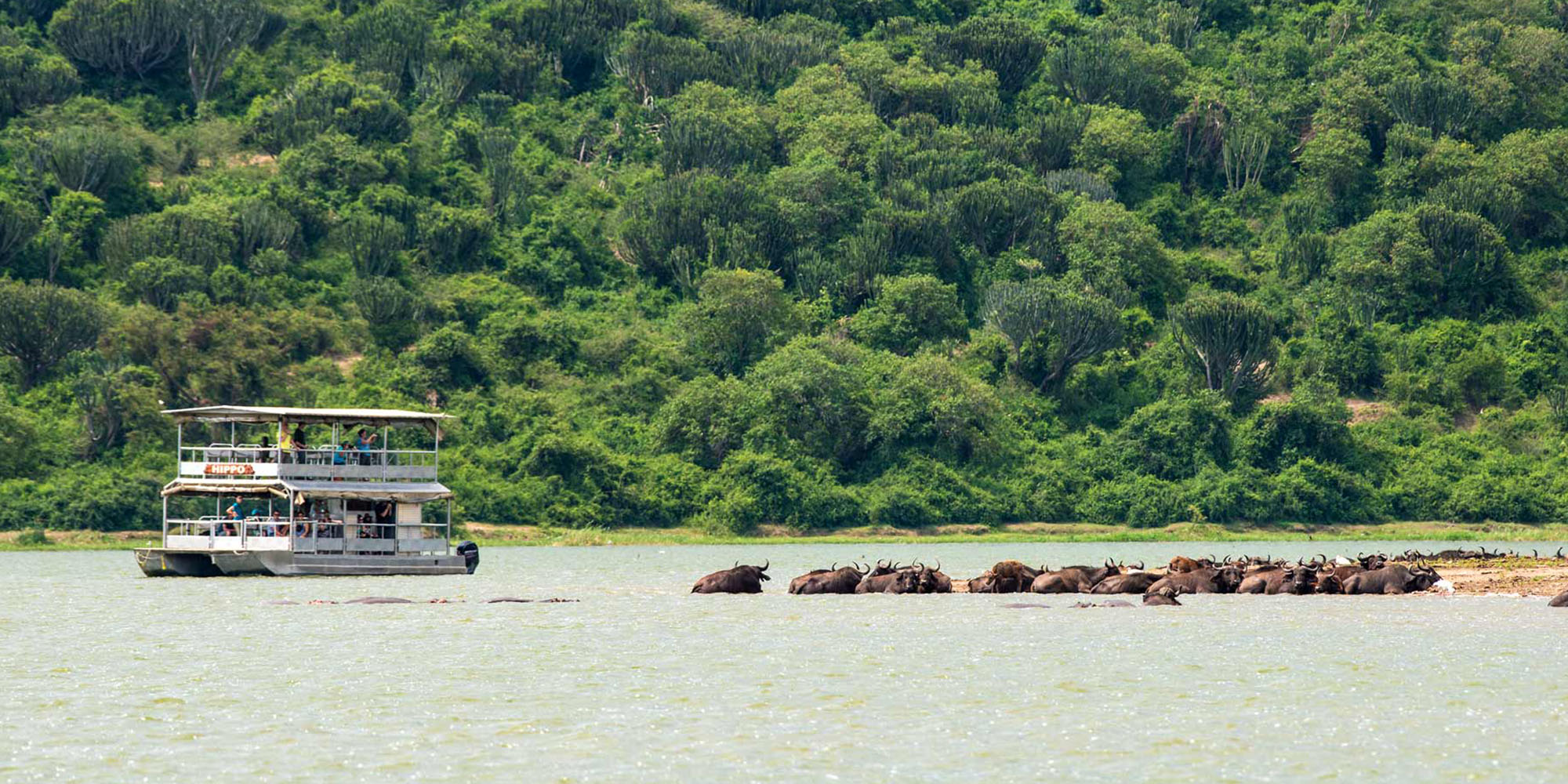Kazinga Channel | Queen Elizabeth National park