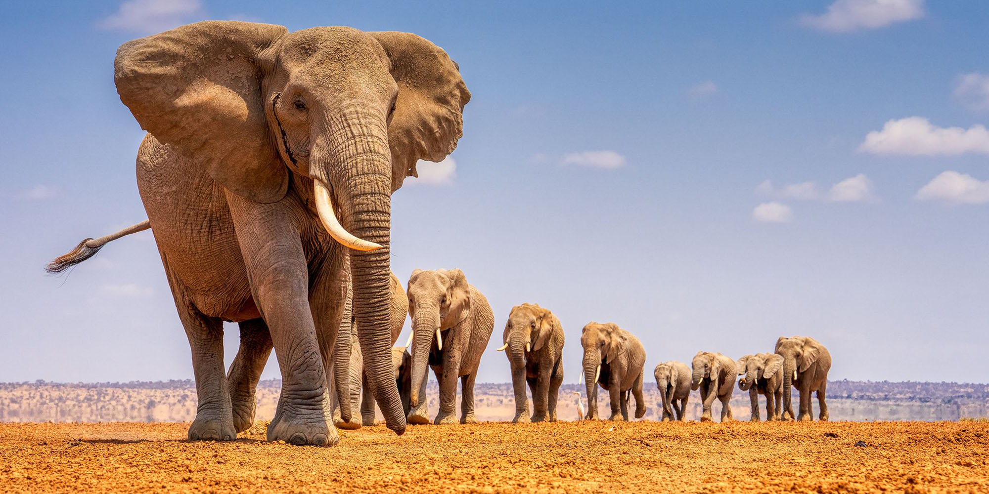 Amboseli National Park | Game Drive