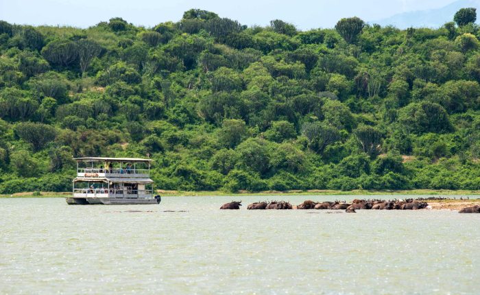 Queen Elizabeth National Park | 23 Day Uganda Wildlife Safari