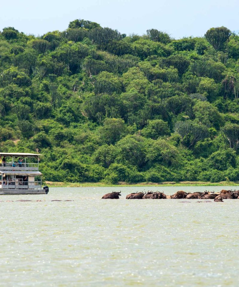 Queen Elizabeth National Park | 23 Day Uganda Wildlife Safari