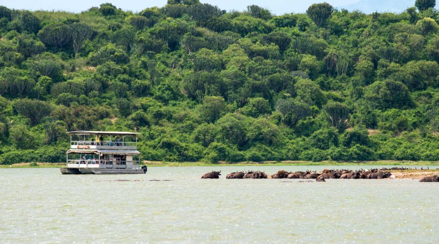Queen Elizabeth National Park | 23 Day Uganda Wildlife Safari